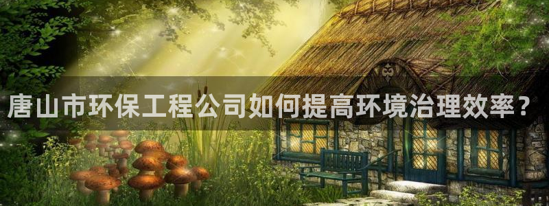 彩名堂手机版官网：唐山市环保工程公司