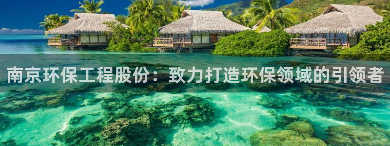 彩名堂手机客户端官网