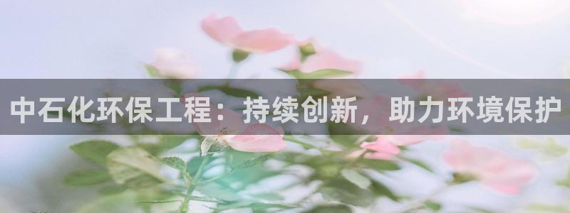 彩名堂免费计划亮点