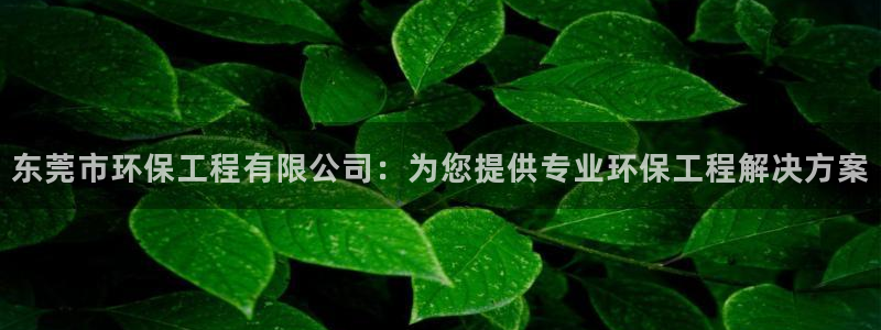 彩名堂app官网