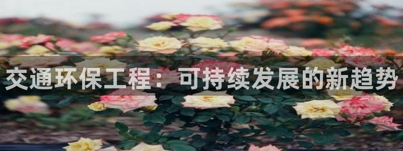 彩名堂官网计划01