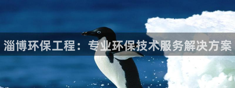 为什么彩名堂今天不能用
