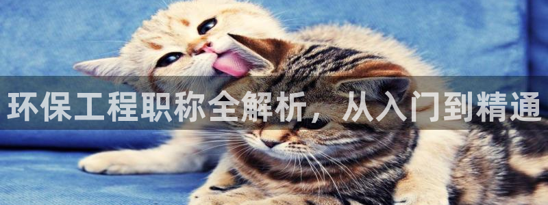 彩名堂开奖结果查询