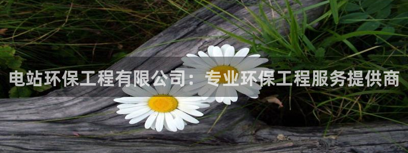彩名堂怎么买准确率高一点：电站环保工程有限公司：专业环保工程服务提供商