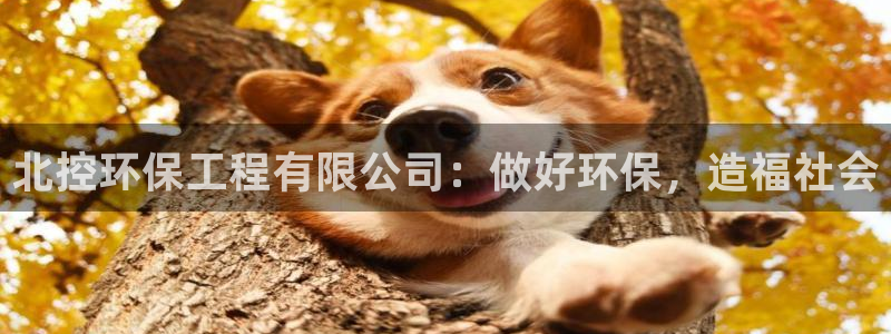 彩名堂计划app安卓免费下载