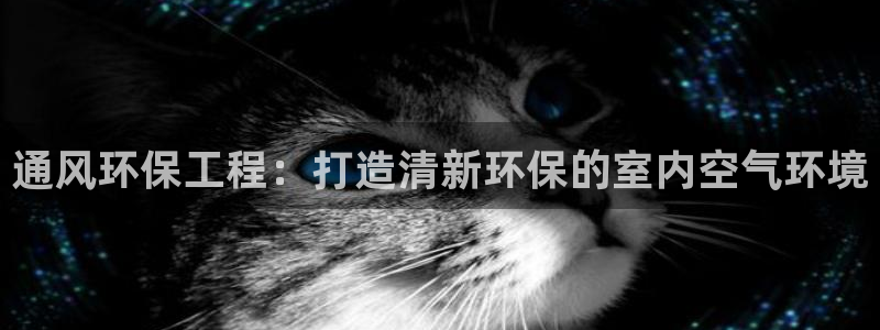 彩名堂一直不出结果怎么回事儿