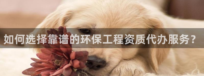 彩名堂官网计划01
