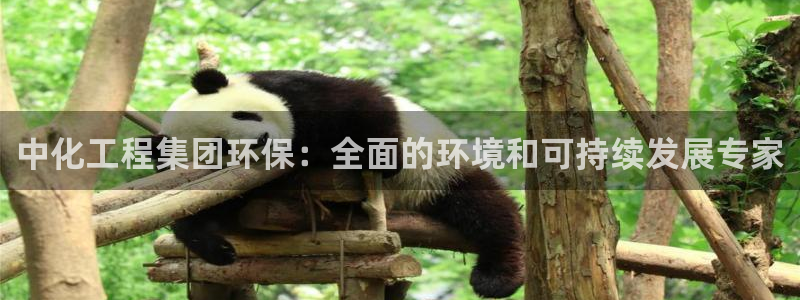彩名堂免费计划官网5.0版下载链接