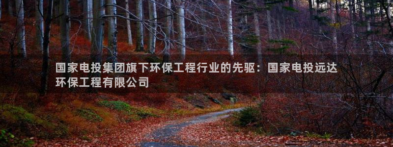 如何进入彩名堂官网更新