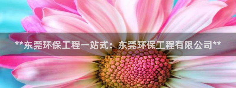 cmt彩名堂