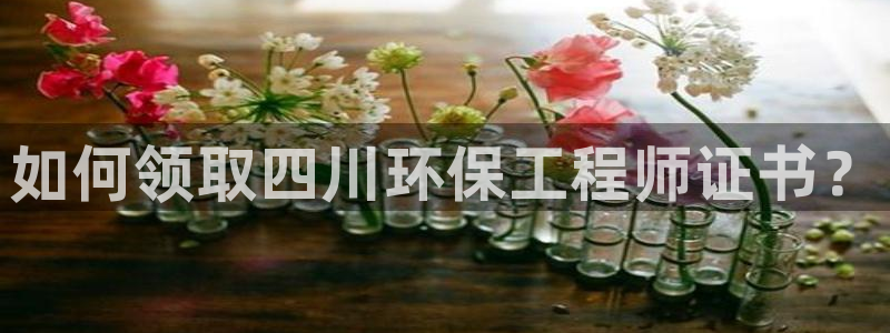 如何进入彩名堂官网更新