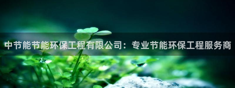 彩名堂预测软件与分析