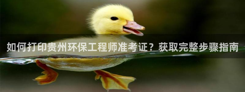 彩名堂用不了