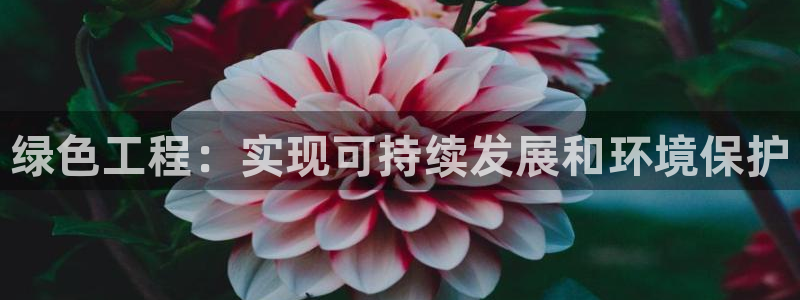彩名堂一直不出结果怎么回事呀：绿色工