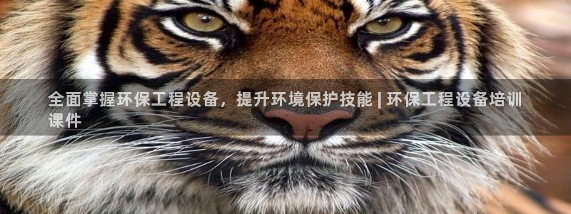 彩名堂预测软件与分析软件区别：全面掌