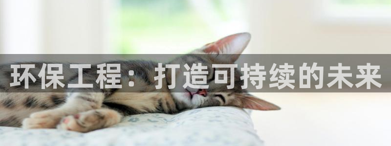 彩名堂客服电话号码：环保工程：打造可