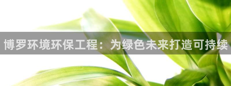 彩名堂APP下载：博罗环境环保工程：