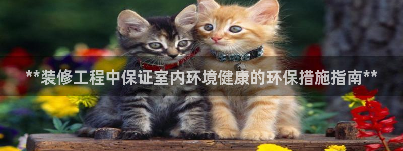 彩名堂预测：**装修工程中保证室内环