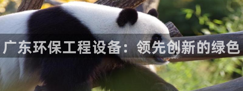 彩名堂5.0版计划怎么用不了：广东环