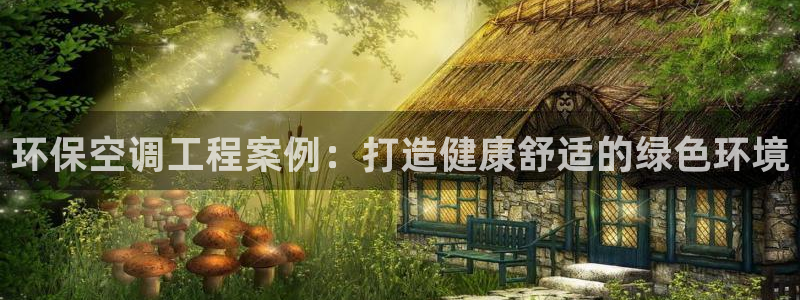 彩名堂排三：环保空调工程案例：打造健