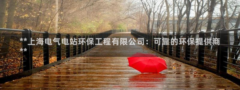 彩名堂免费计划官网5.0.0：**上海电气电站环保工程有限公司：可靠的环保提供商
**