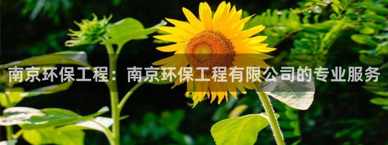 彩名堂怎么跟计划才不连挂在一起：南京