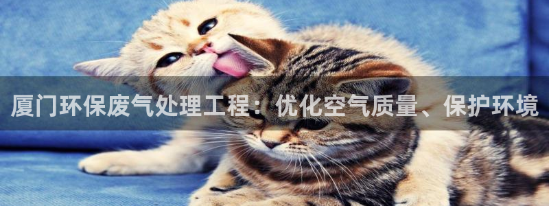彩名堂移动客户端官网：厦门环保废气处