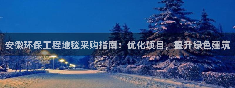 彩名堂计划和01计划怎么很稳：安徽环保工程地毯采购指南：优化项目，提升绿色建筑