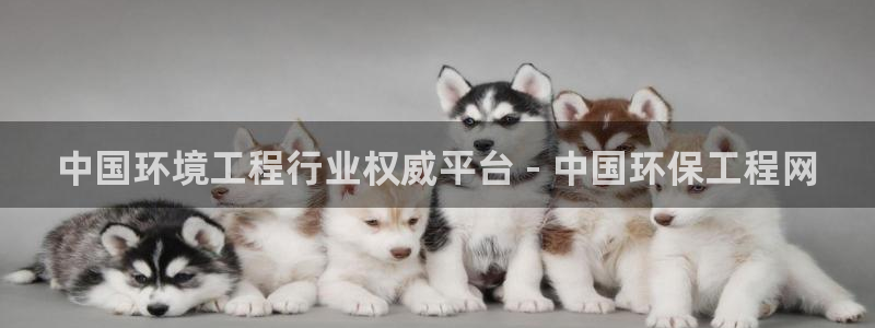 下载彩名堂预测计划软件安卓：中国环境