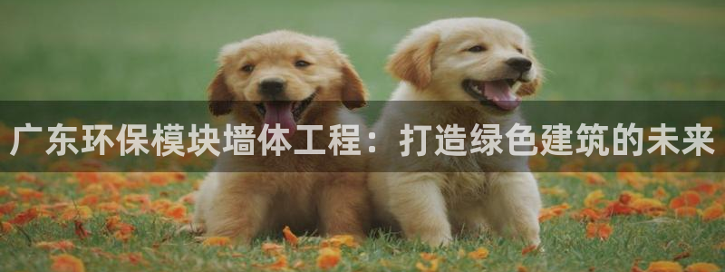 彩名堂人工计划客户端官网：广东环保模