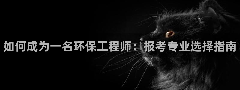 彩名堂为什么突然不能用了：如何成为一