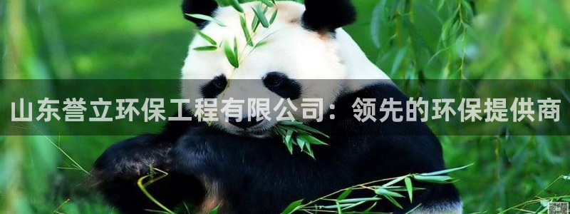 cmt彩名堂：山东誉立环保工程有限公