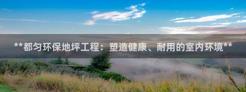彩名堂拼音怎么拼：**都匀环保地坪工