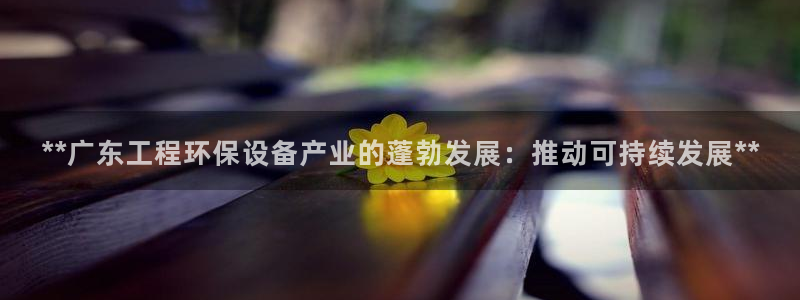 彩名堂官网计划怎么下载：**广东工程环保设备产业的蓬勃发展：推动可持续发展**