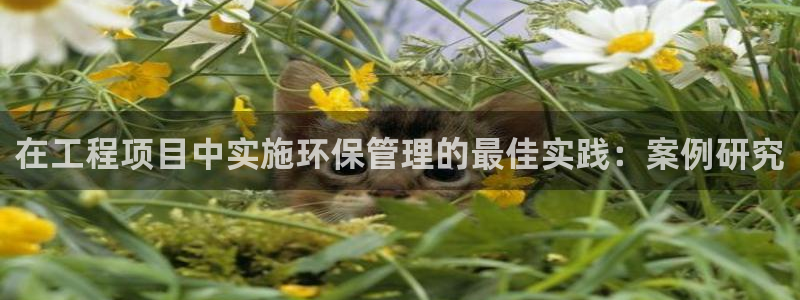 彩名堂app官方下载：在工程项目中实