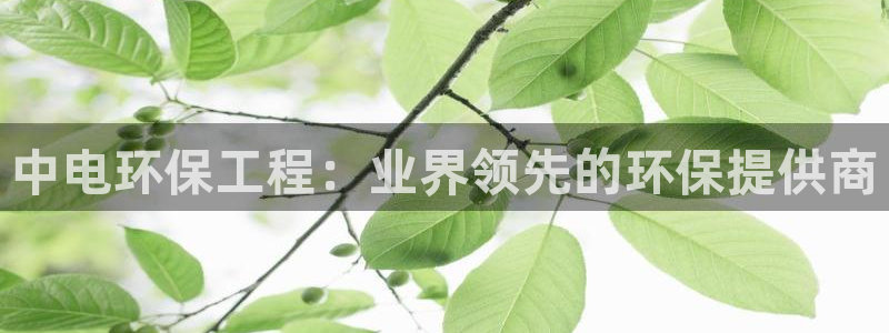 彩名堂官网在线计划：中电环保工程：业