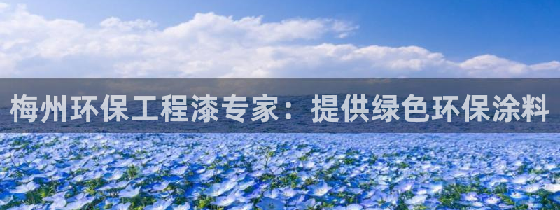 彩名堂彩：梅州环保工程漆专家：提供绿
