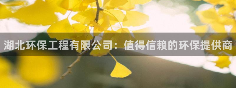 彩名堂苹果客户端：湖北环保工程有限公