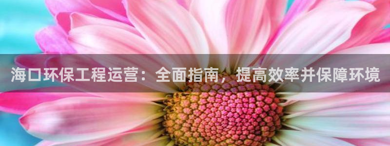 彩名堂客户端加拿大：海口环保工程运营