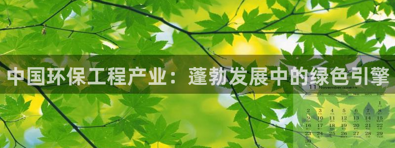 彩名堂免费计划官网50下载957：中