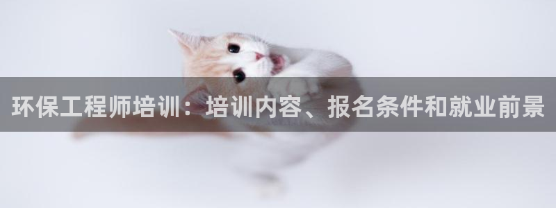 彩名堂计划技巧：环保工程师培训：培训