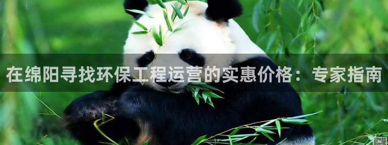 彩名堂用不了：在绵阳寻找环保工程运营