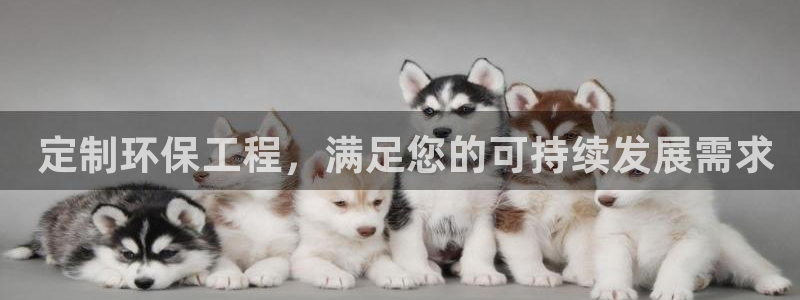 彩名堂免费计划官网5 0： 定制环保