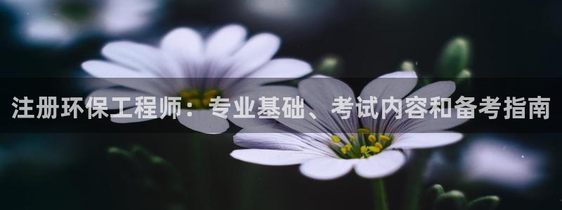 彩名堂计划怎么出的：注册环保工程师：
