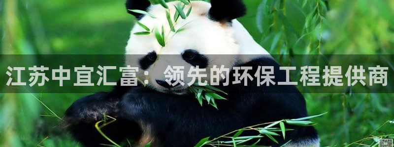 彩名堂最新版www：江苏中宜汇富：领