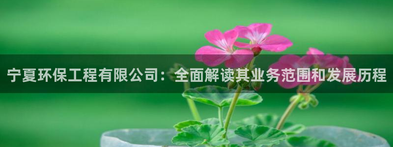 彩名堂一直不出结果怎么回事呢：宁夏环