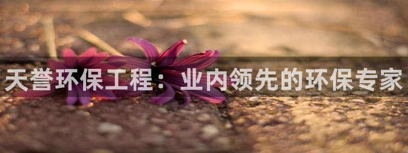 彩名堂免费计划下载：天誉环保工程：业