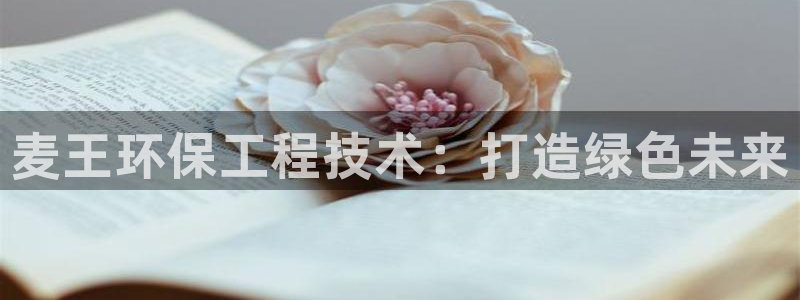 彩名堂免费计划软件下载：麦王环保工程
