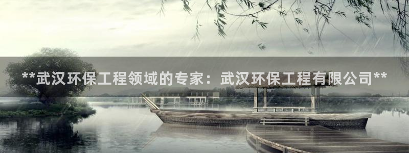 彩名堂01计划：**武汉环保工程领域