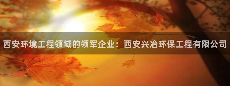 彩名堂怎么用不输：西安环境工程领域的领军企业：西安兴冶环保工程有限公司